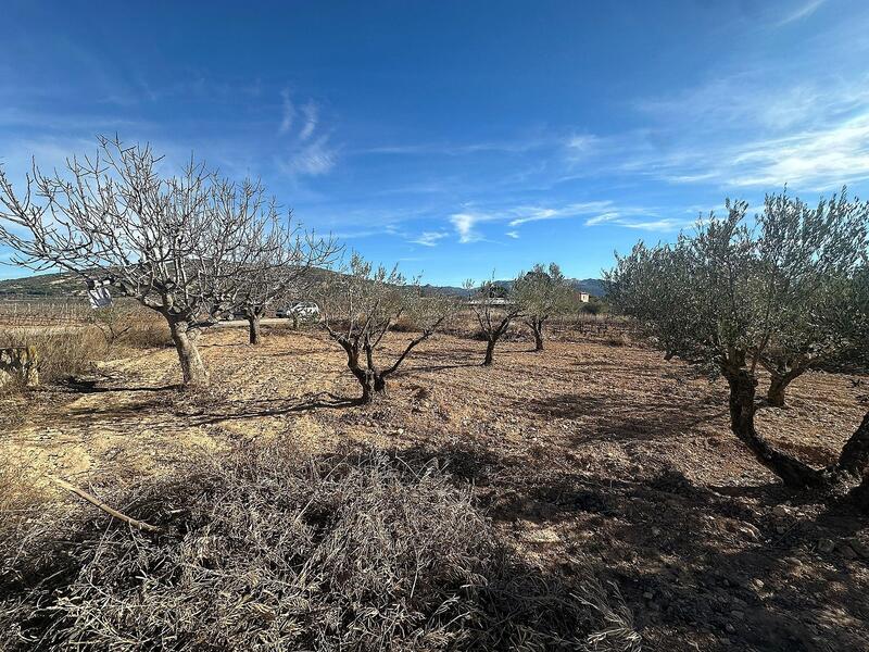 Terrenos en venta