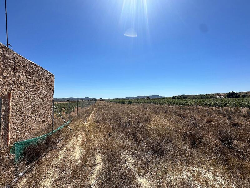 Land for sale in Pinoso, Alicante