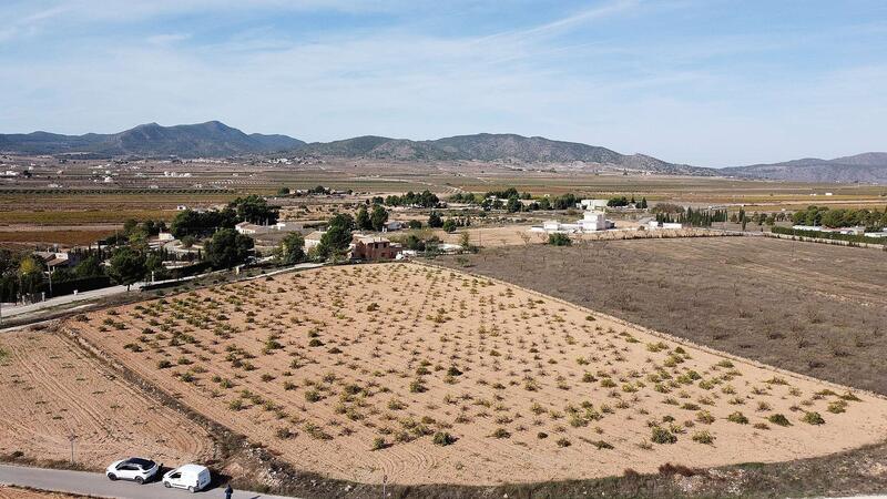 земля продается в Pinoso, Alicante