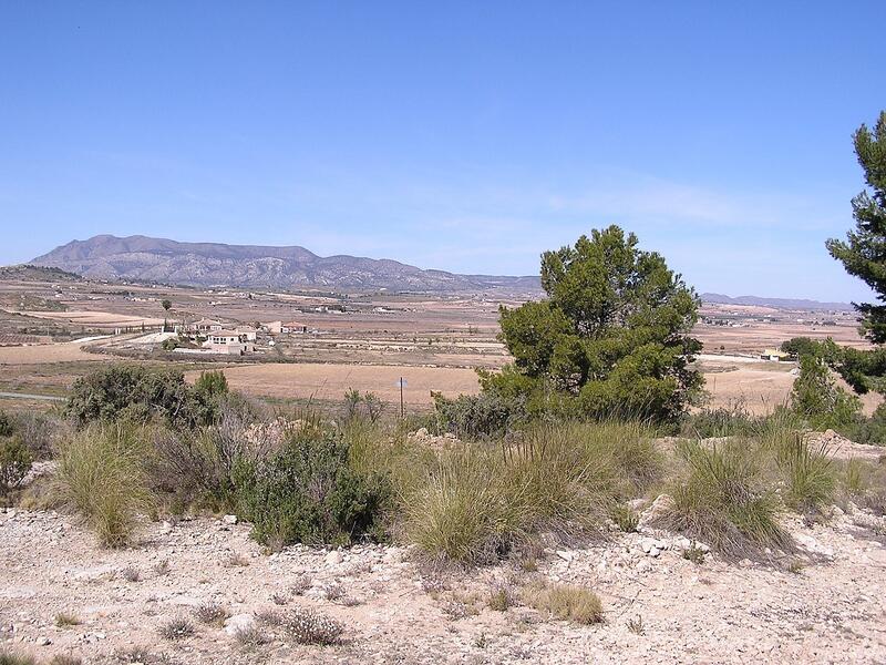 Terrenos en venta en Pinoso, Alicante