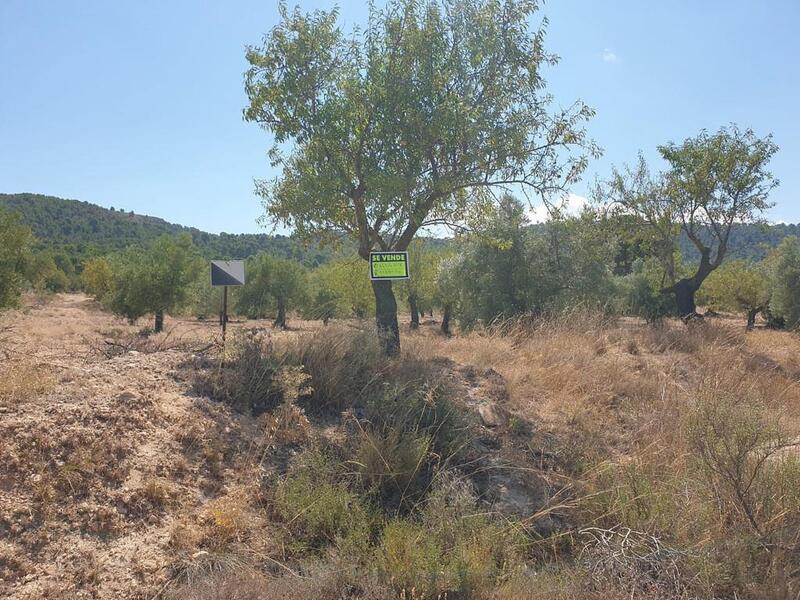 Terrain à vendre dans Biar, Alicante