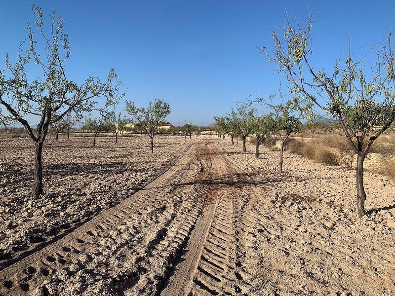 Jord til salg i Macisvenda, Murcia