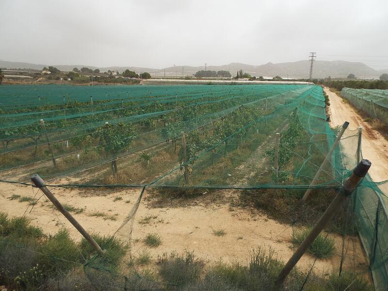 Landa till salu i Monforte del Cid, Alicante