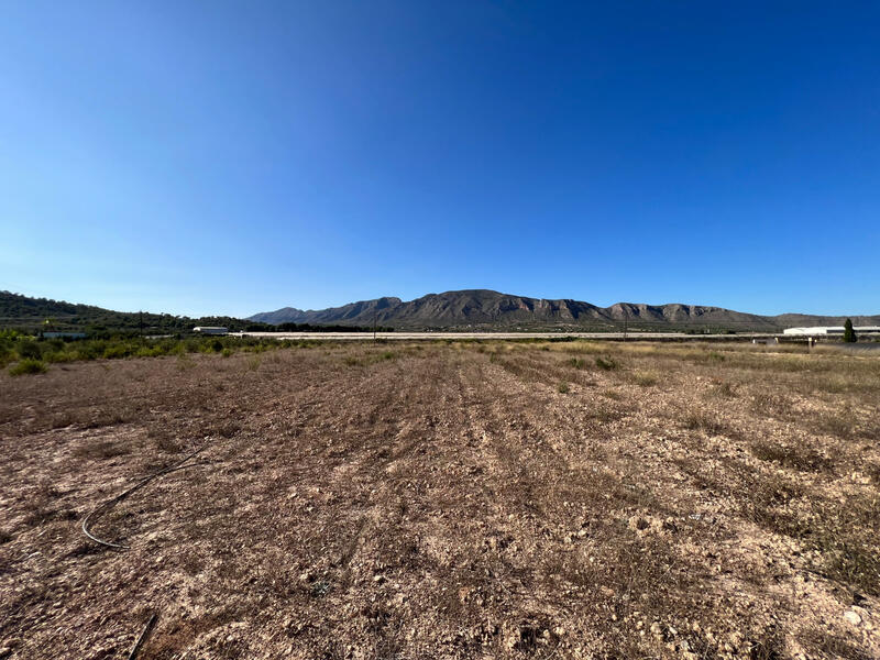 Land for sale in Hondon de las Nieves, Alicante