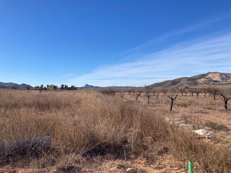 Land for sale