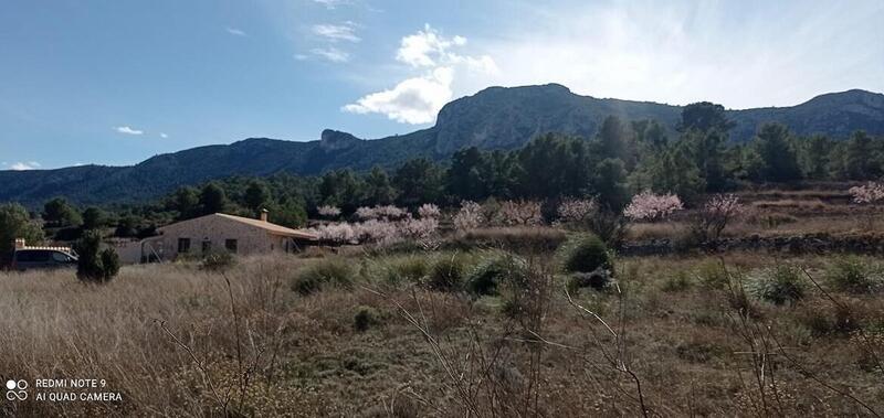 земля продается в La Romana, Alicante