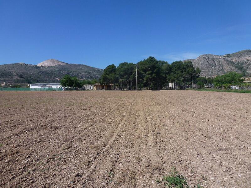 Grundstück zu verkaufen in Aspe, Alicante