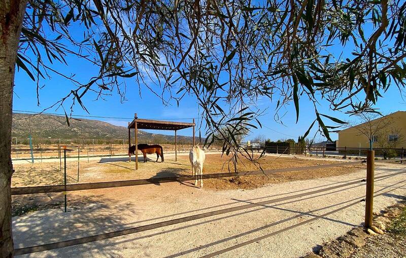 Country House for sale in Pinoso, Alicante