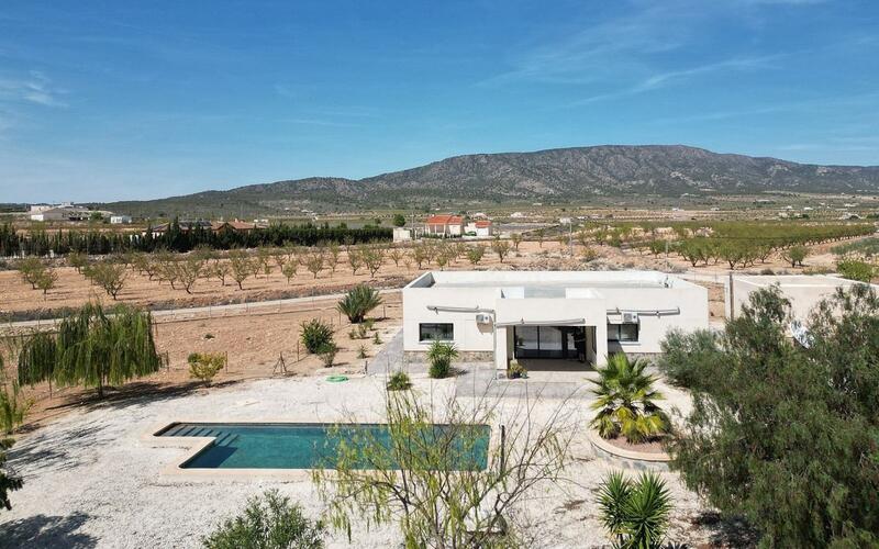 Villa en venta en Pinoso, Alicante