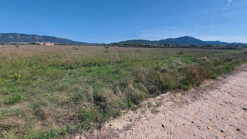 Land for sale in Salinas, Alicante