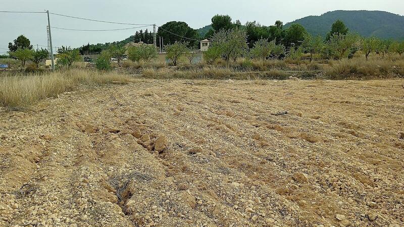 Land for sale in Monóvar, Alicante