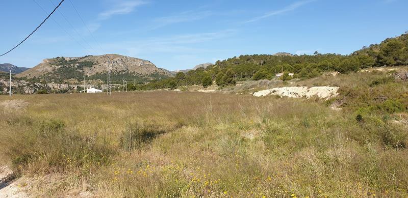 Land Te koop in La Romana, Alicante