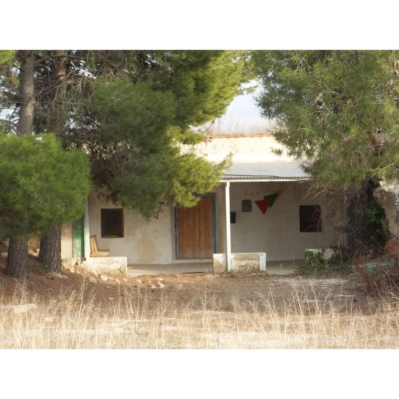 Höhlenhaus zu verkaufen in Pinoso, Alicante