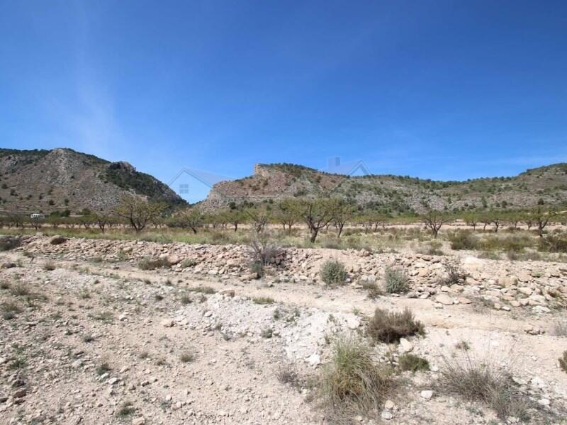 Land for sale in Salinas, Alicante