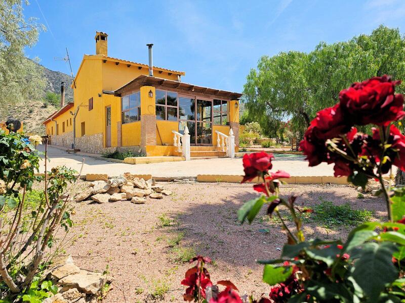 Villa for sale in Jumilla, Murcia