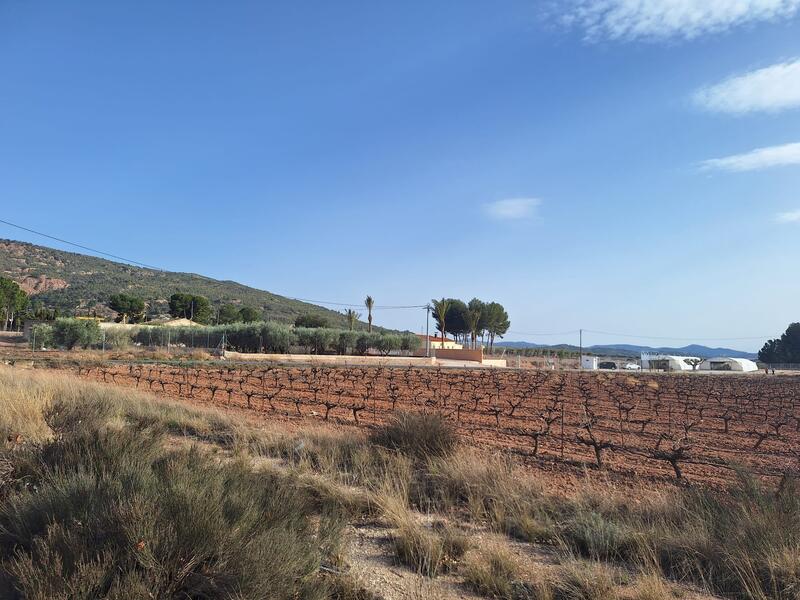 Land for sale in Pinoso, Alicante