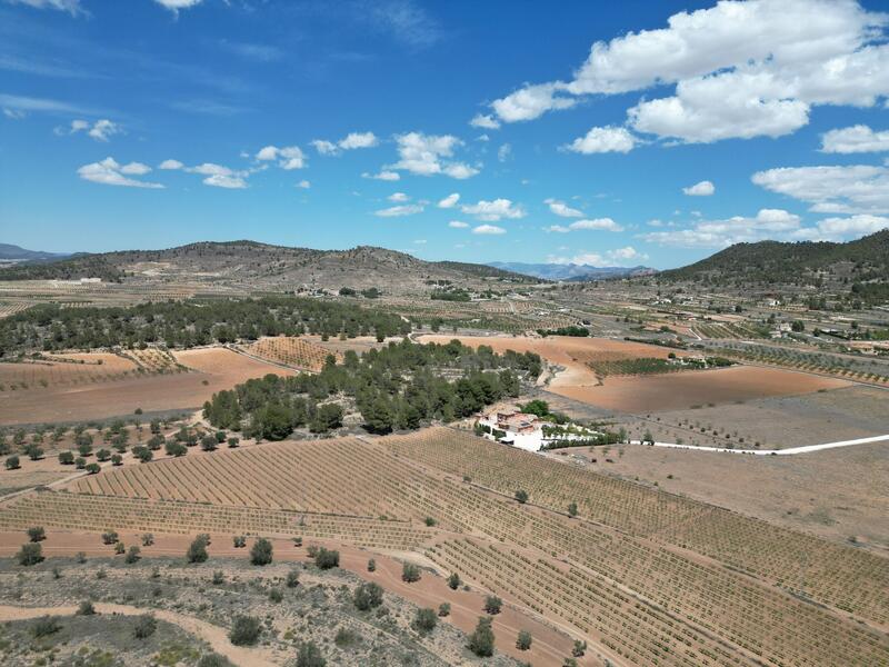 Land for sale in Pinoso, Alicante