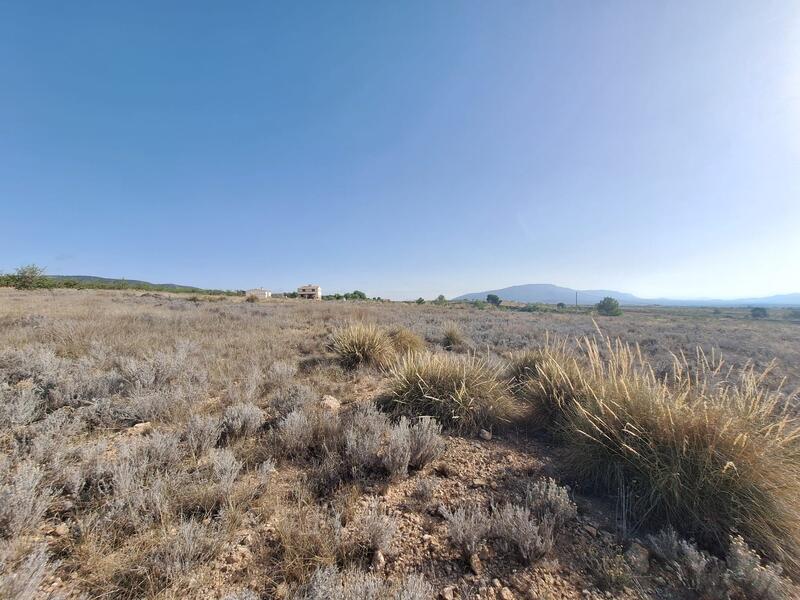 Land for sale