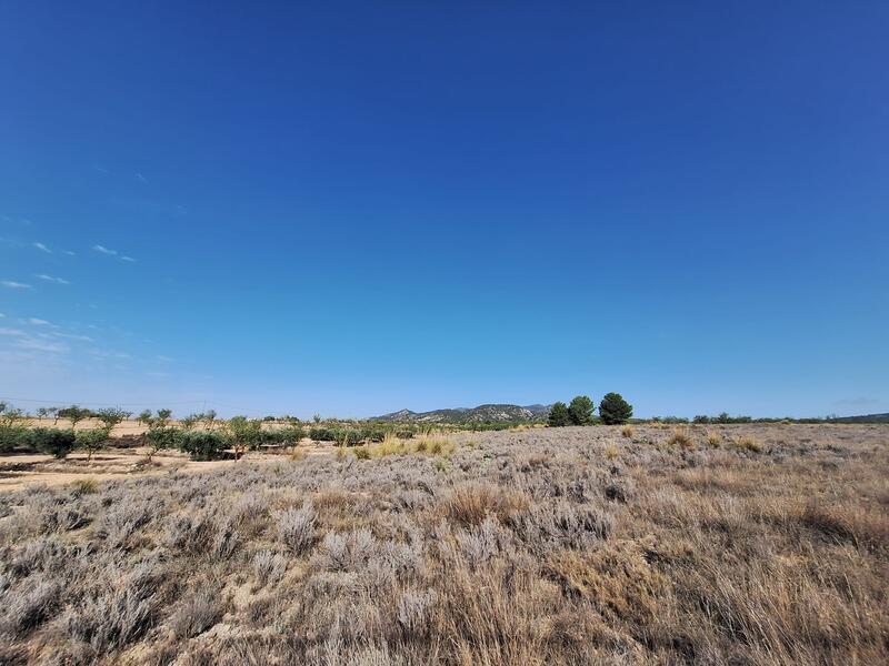 Land for sale