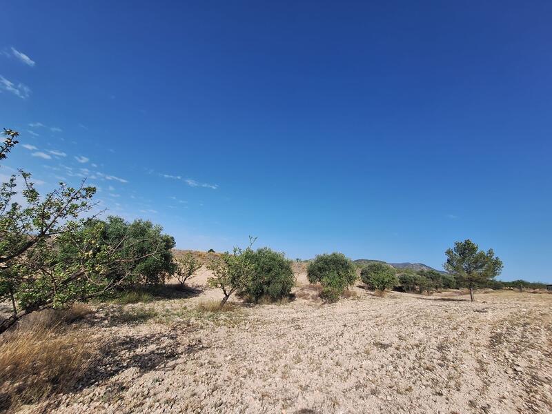 Land for sale