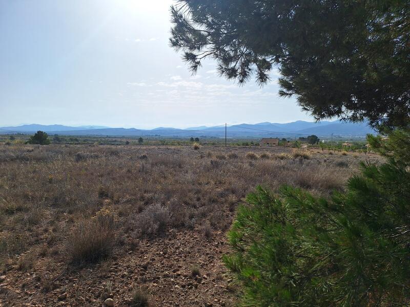 Land for sale