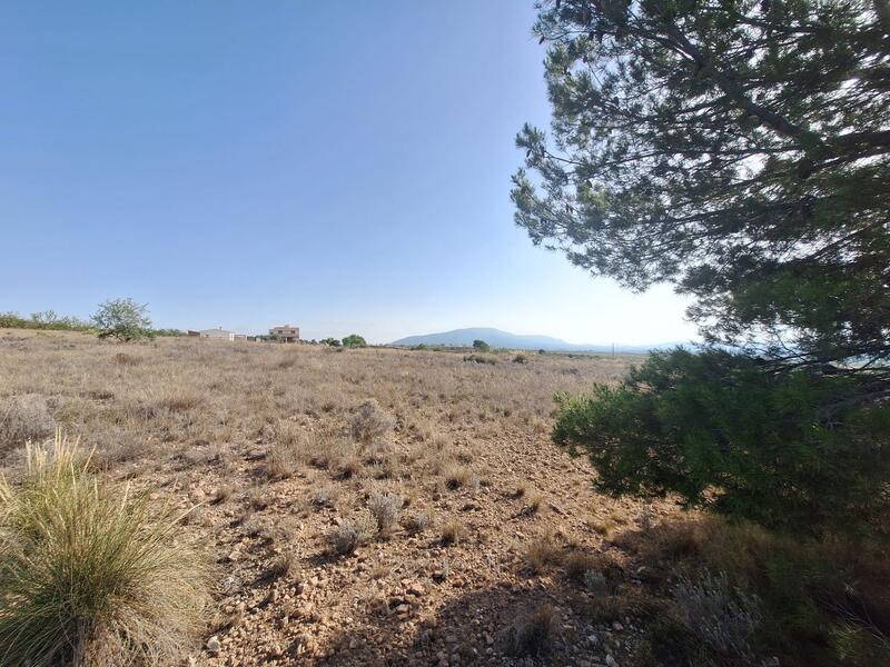 Land for sale