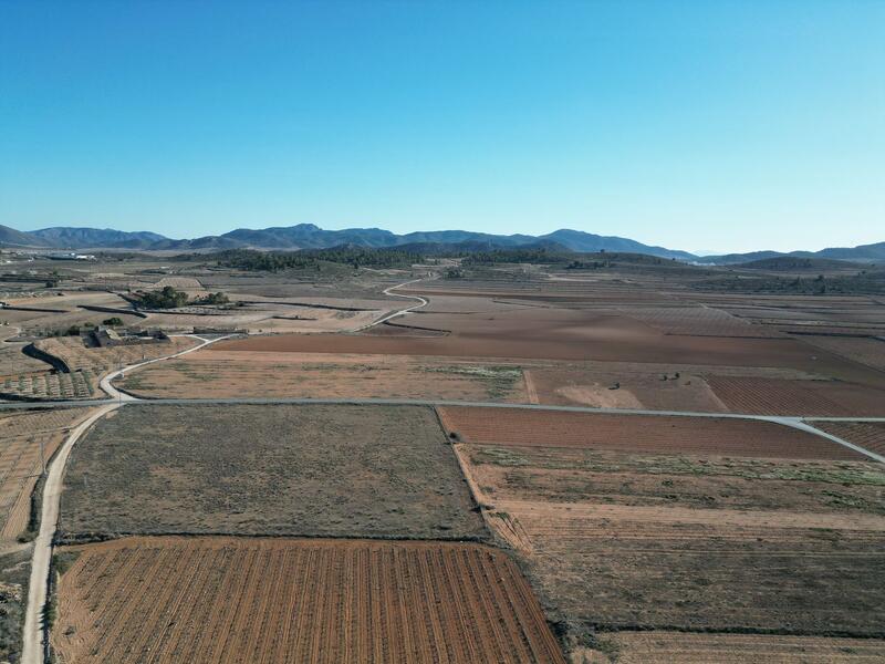 земля продается в Pinoso, Alicante