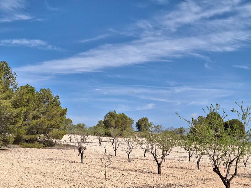 Land for sale in La Zarza, Murcia