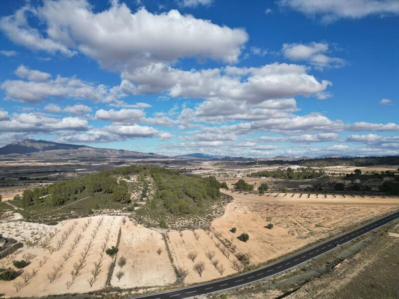 Landa till salu i La Zarza, Murcia