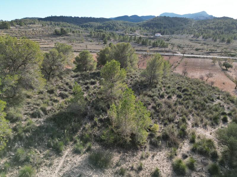 Land for sale