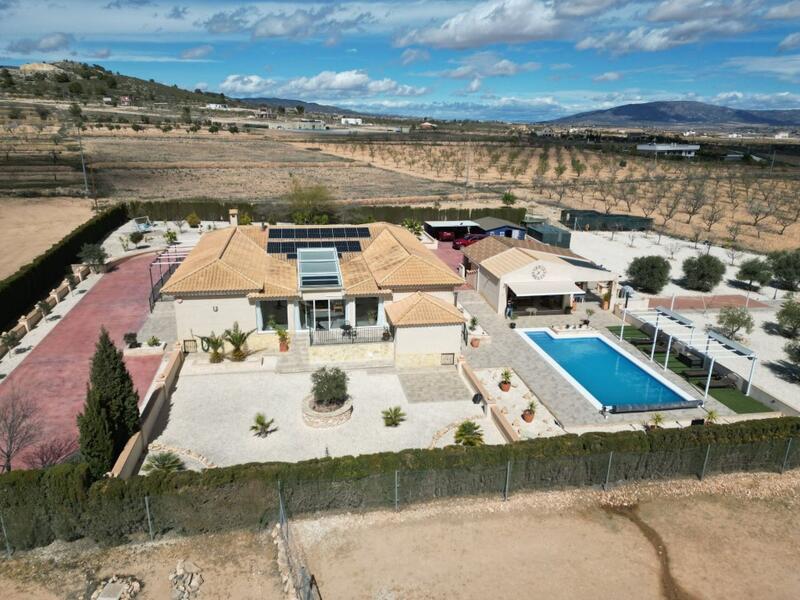 Villa for sale in Pinoso, Alicante