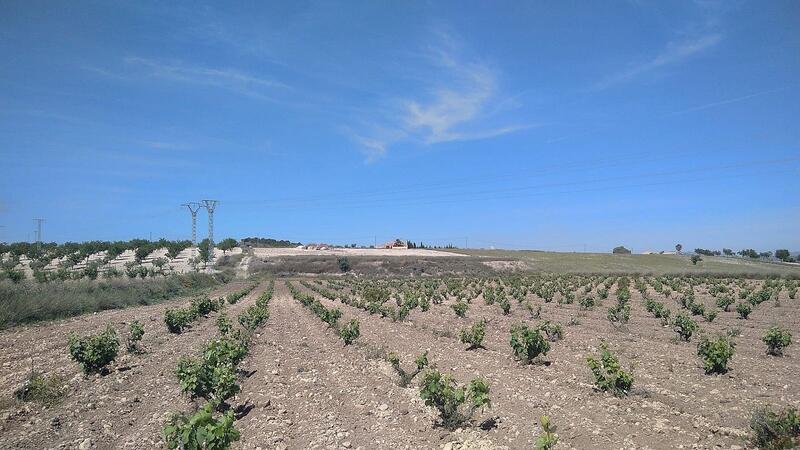 Villa til salgs i Cañada del Trigo, Alicante