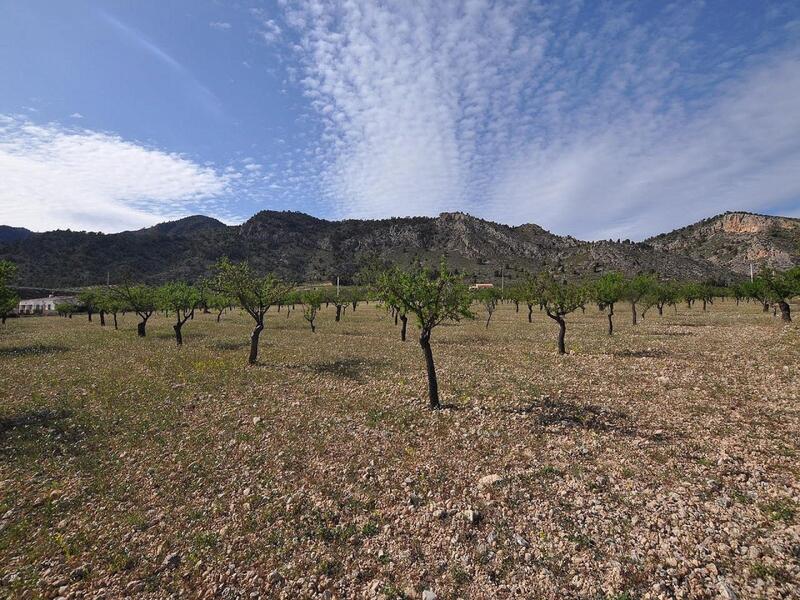 Landa till salu i Salinas, Alicante