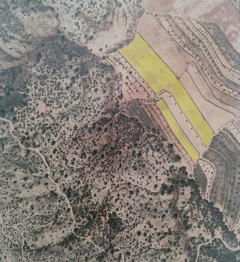 Land for sale in Pinoso, Alicante