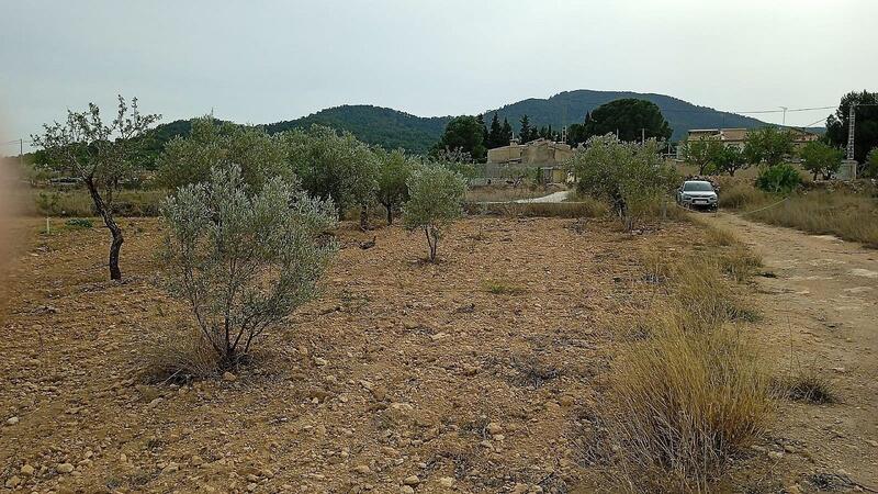 Terrenos en venta en Monóvar, Alicante