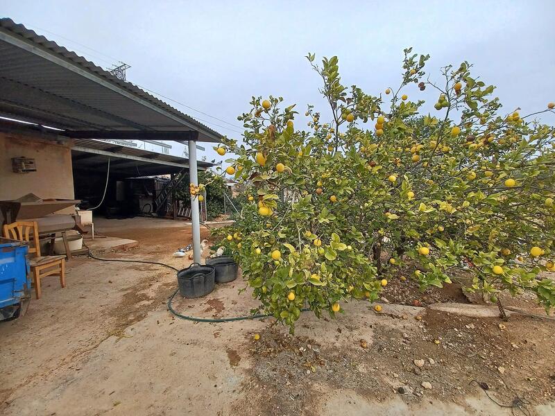 Landhaus zu verkaufen in La Romana, Alicante