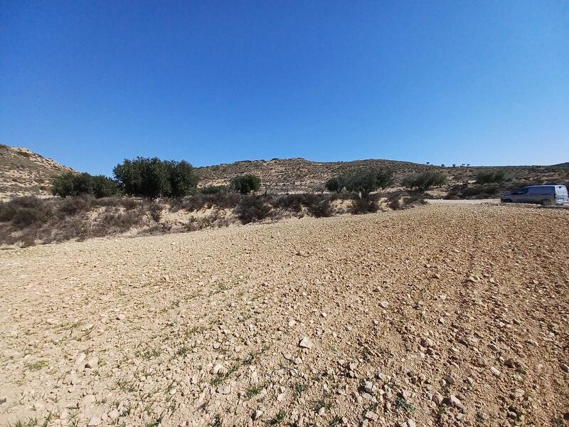 Land Te koop in Pinoso, Alicante