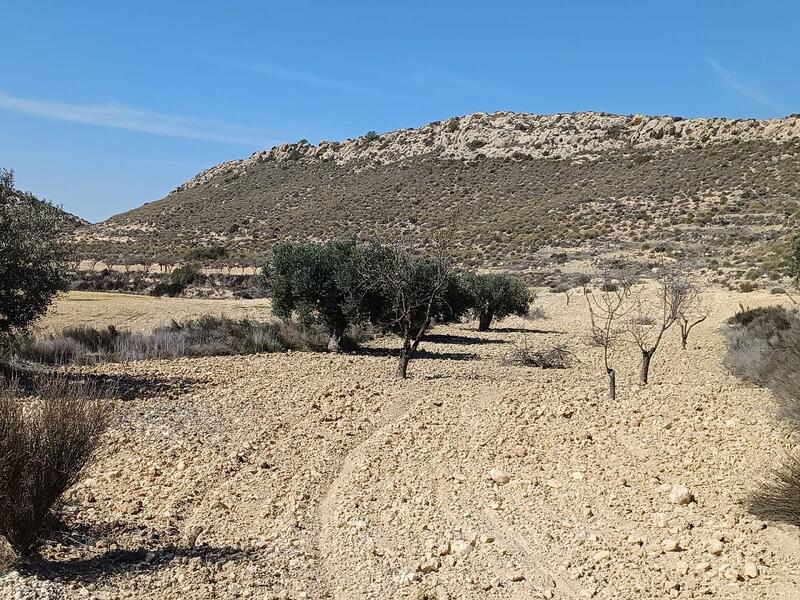 Terrenos en venta