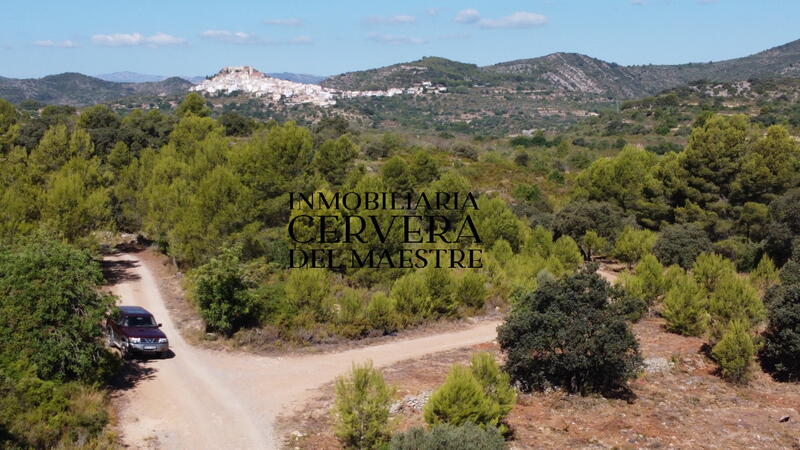 земля продается в Cervera del Maestre, Castellón