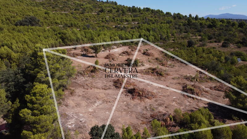 Land Te koop in Cervera del Maestre, Castellón