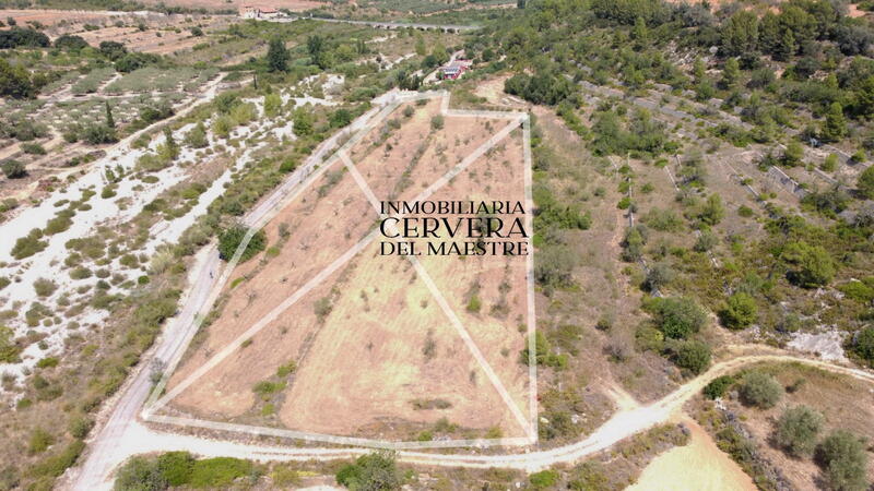 Grundstück zu verkaufen in Cervera del Maestre, Castellón