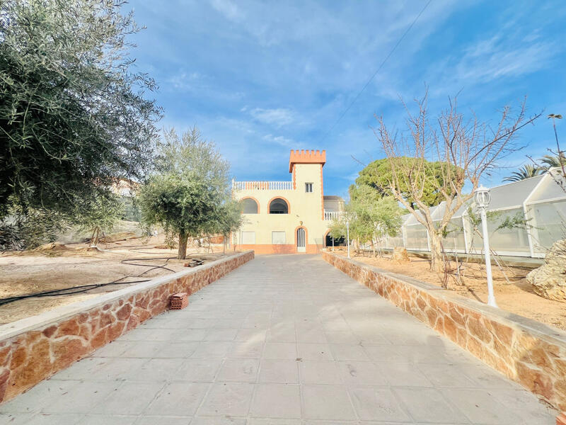 Villa en venta en Mil Palmeras, Alicante