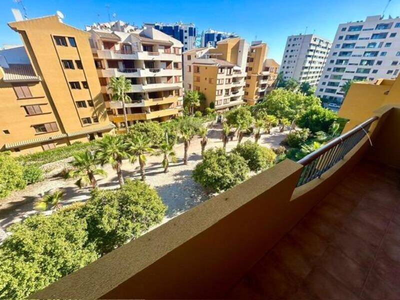 3 Cuarto Apartamento en venta