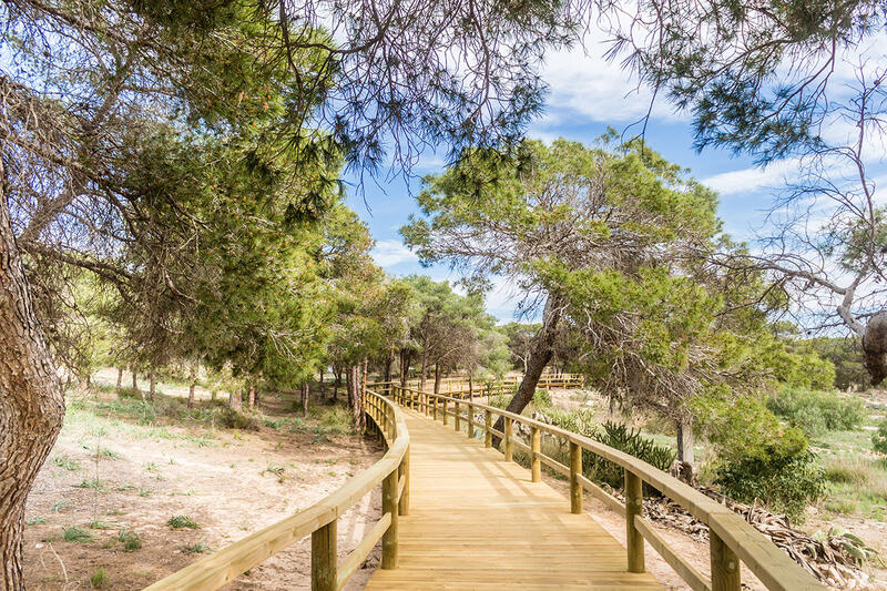 квартира продается в Guardamar del Segura, Alicante