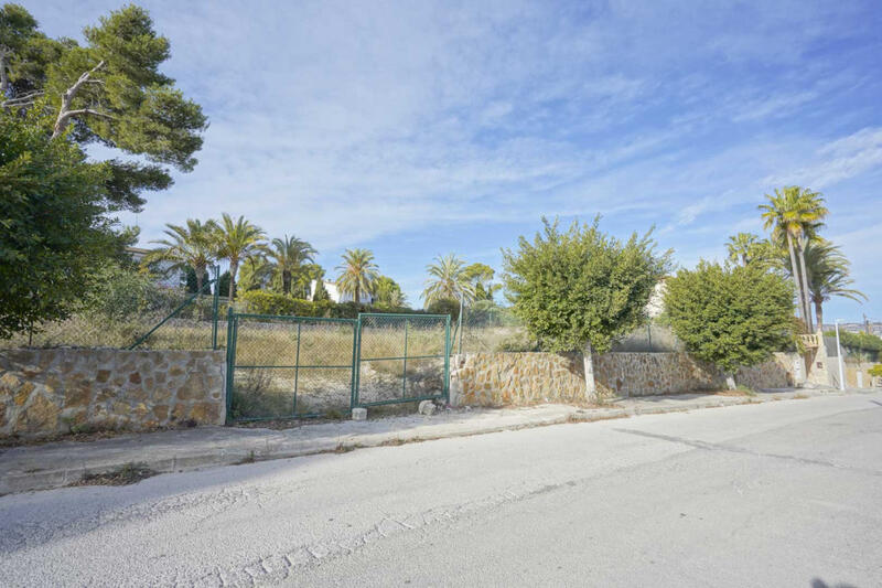 Terrain à vendre dans Javea, Alicante