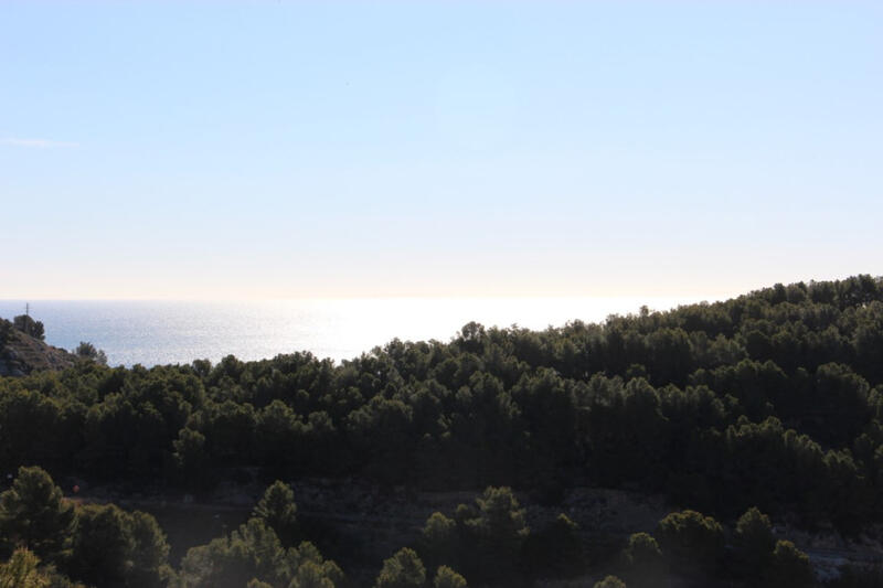 Terrain à vendre dans Javea, Alicante