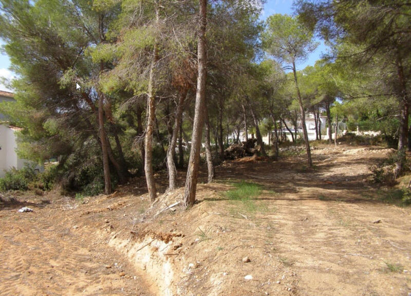 Terrain à vendre dans Moraira, Alicante