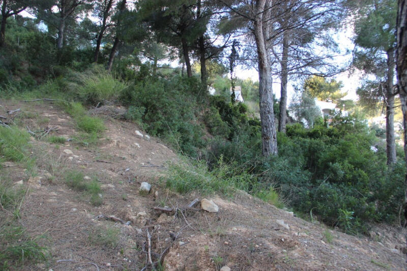 Terrain à vendre dans Javea, Alicante