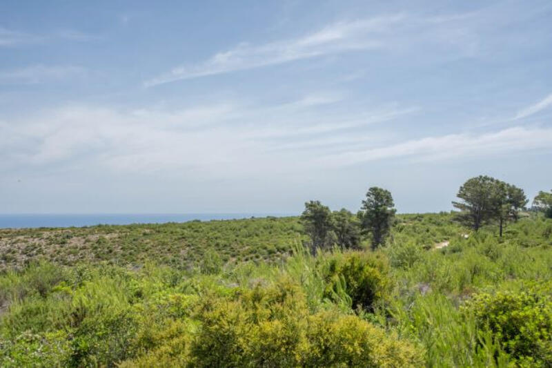 Terrain à vendre dans Javea, Alicante