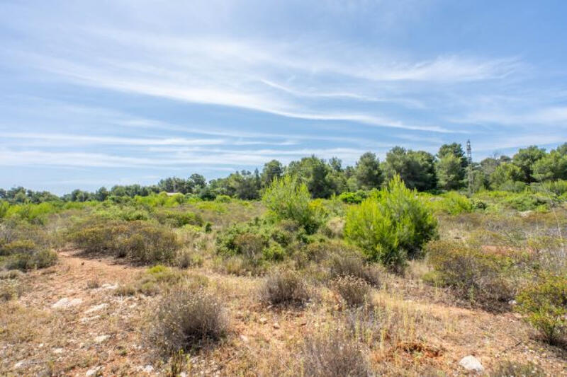 Terrain à vendre